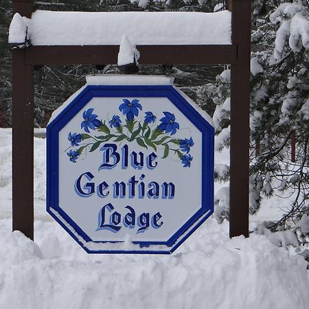 Blue Gentian Lodge At Magic Mountain Londonderry ภายนอก รูปภาพ