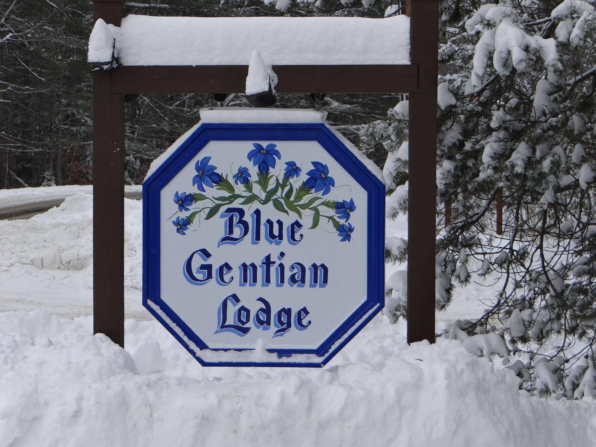 Blue Gentian Lodge At Magic Mountain Londonderry ภายนอก รูปภาพ